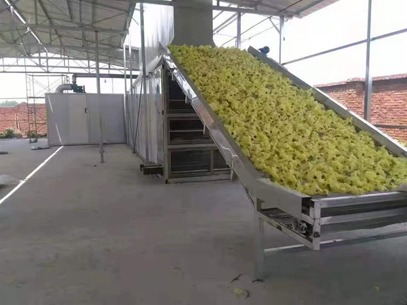 网带烘干机